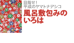 風呂敷包みのいろは